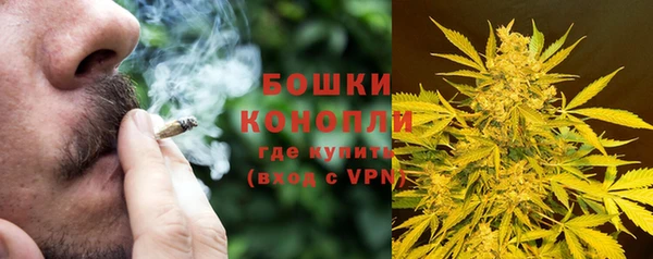 spice Алзамай